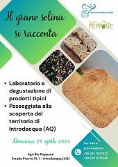 Il grano solina si racconta